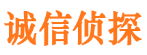 淅川背景调查